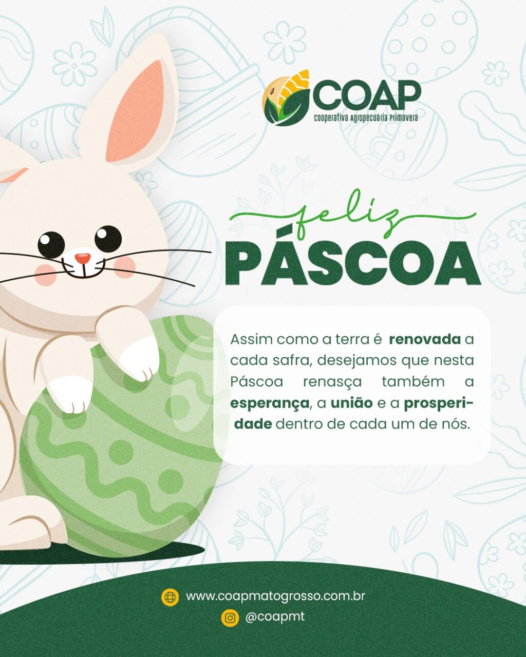 Instagram post from coapmt. This post is in position 1.