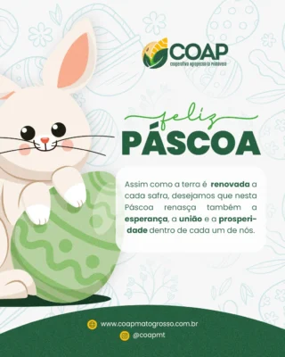 Instagram post from coapmt. This post is in position 5.
