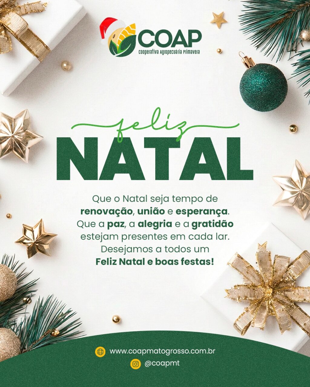 Instagram post from coapmt. This post is in position 5.